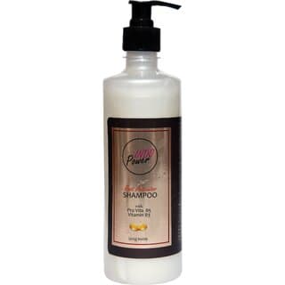 INDOPOWER AF13 -ROOT ACTIVATOR SHAMPOO 500g. - Shampoos and Conditioners | Buy online on ZillyBuy