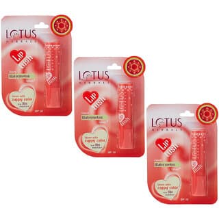 Lotus Herbals Lip Lush Tinted Lip Balm  Watermelon Splash  Spf 20  8H Moisturisation  4G  (Pack Of 3) - Makeup - Lips | Buy online on ZillyBuy