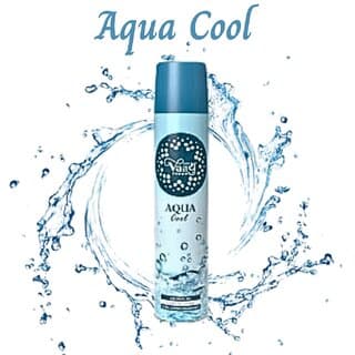 Vaayu Fragrance Room Air Freshener (Aquacool) - 1 Pc - Fragrance | Buy online on ZillyBuy