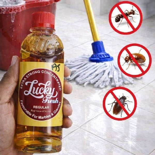 LUCKY FRESH FINAIL - 1 unit - Uncategorized | Buy online on ZillyBuy