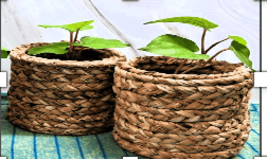 Planter Jacket - Garden & Outdoor | Buy online on ZillyBuy