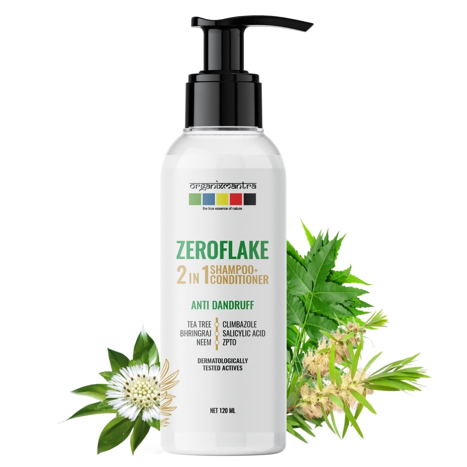 everyday shampoo