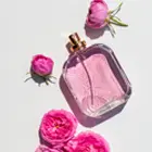 Fragrance