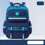 Dual-Tone School Backpacks – Bold & Functional Design
