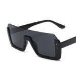 Trendy Integrated Sunglasses