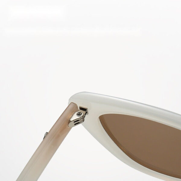 High-Lens Sense Cat-Eye Sunglasses