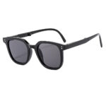 Modern Euro-American Sunglasses