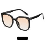 The Must-Have Sunnies