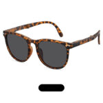 Korean Fusion Foldable Shades