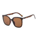 Folding Sunglasses with Euro-American Flair