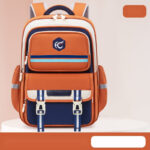 Dual-Tone School Backpacks – Bold & Functional Design