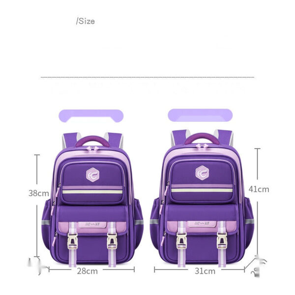 Dual-Tone School Backpacks – Bold & Functional Design