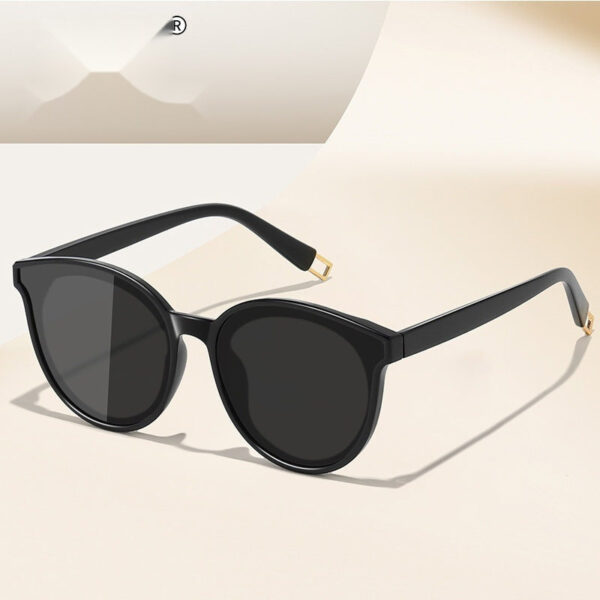 Must-Have Travel Sunglasses