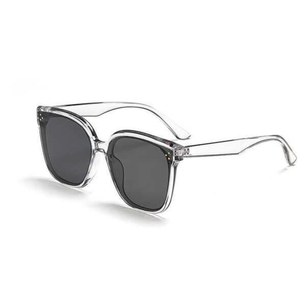 Chic Sunglasses for Every Look