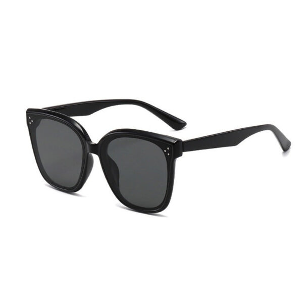 Chic Sunglasses for Every Look